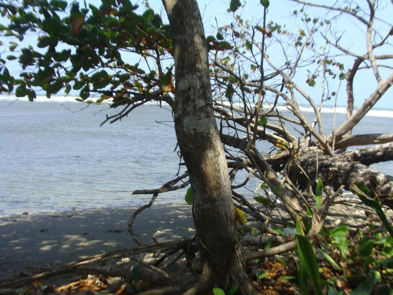 Apartamento En Balabeach Maria Chiquita In Front Of The Beach 2Hab Colon Exterior photo